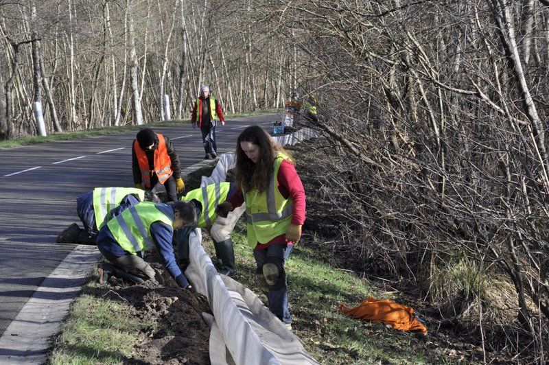 2013 02 25 Montage du crapaudrome 11